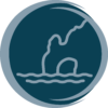 JAZZ_WEB_icons_vistas